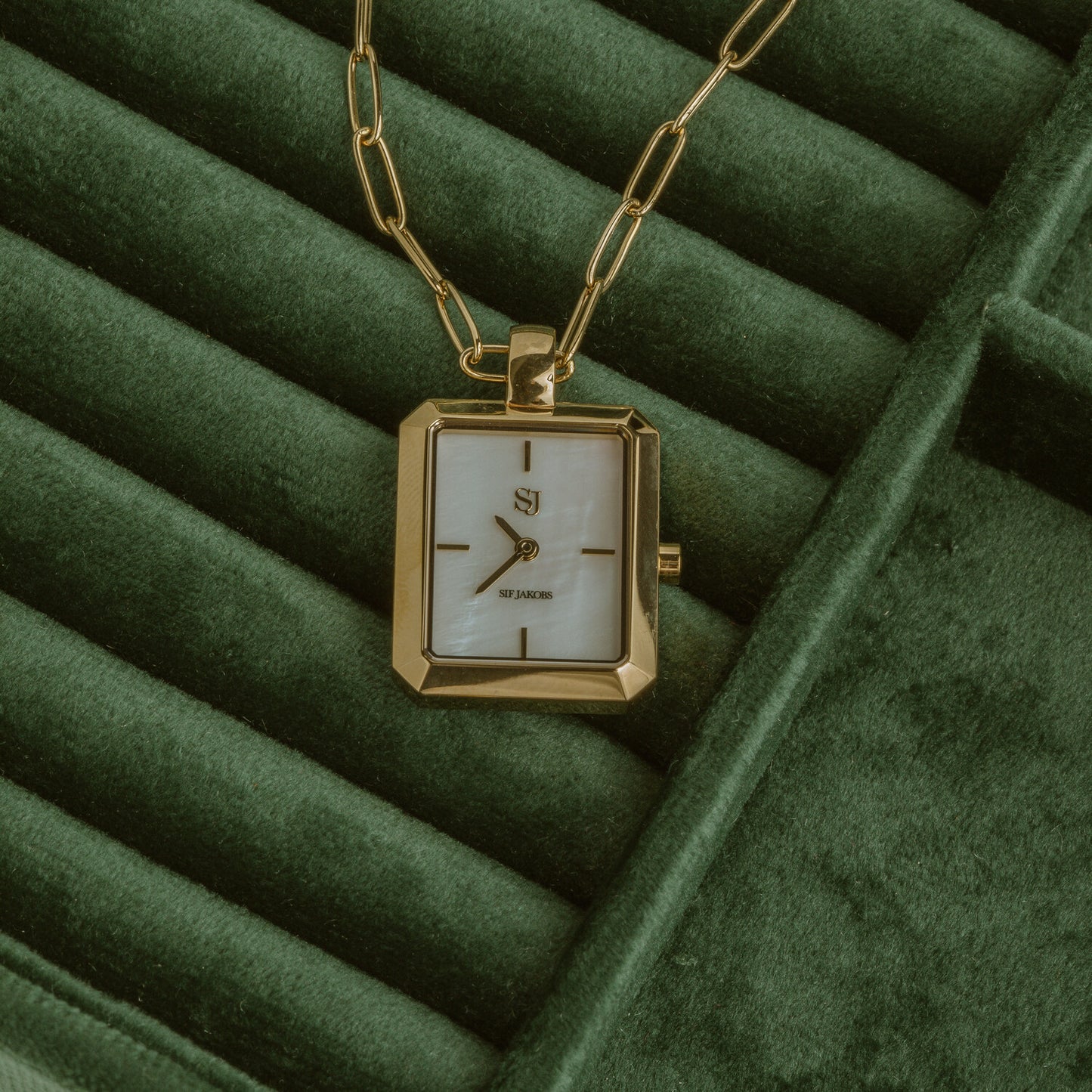 Stainless steel gold | White mother of pearl dial